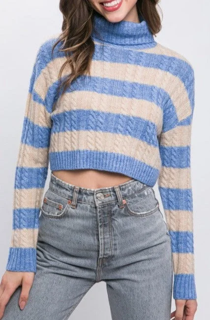 Striped Crop Sweater Spandex Blend Rayon Blend Denim Blend